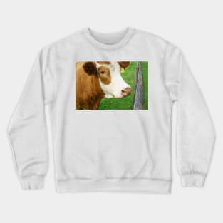 Hereford beef cattle Crewneck Sweatshirt